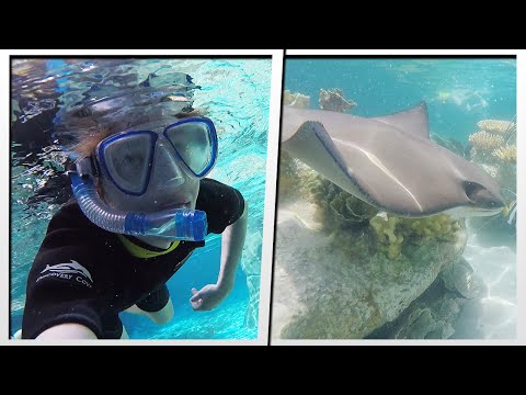 UNDERWATER ADVENTURE AT DISCOVERY COVE