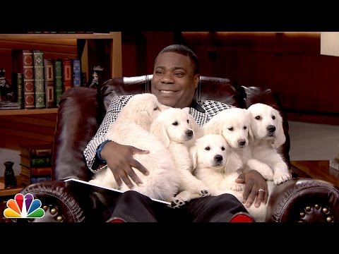 Pup Quiz with Tracy Morgan