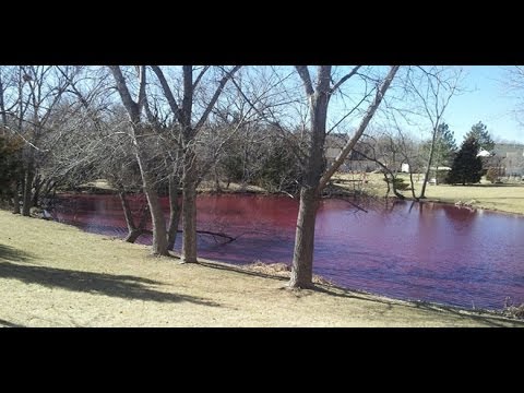 Signs of the Times : Mysterious phenomenon Pond in Wichita Kansas turns Blood Red (Feb 19, 2014)