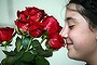 13/2/2016. Sydney flower markets early morning sale the day before Valentines.  Printed Roses for Valentines day. Sophie Scavo 12 years smells one of the printed roses today. Contact Sam Scavo  (0417) 435469  or Joe Valcarella from My Florista for comment about printed roses. Pic Jeff Darmanin.