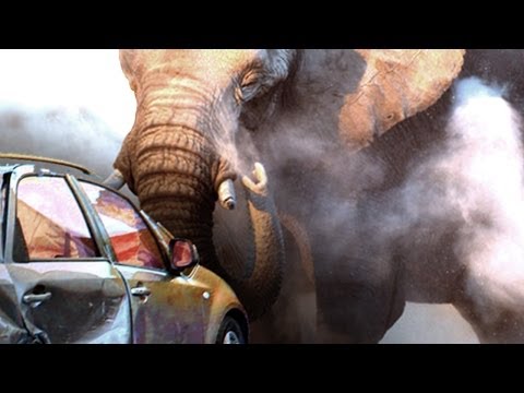 Elephant Attacks Our Car - On African Safari [Exclusive Video]