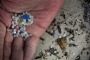 Dave West holds small bits of plastic that he found on the beach.