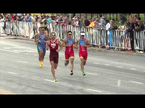 2015 ITU World Triathlon Chicago - Elite Men's Highlights