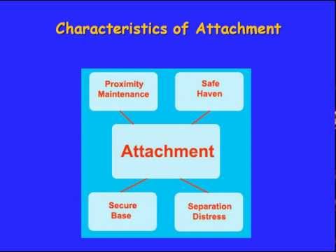 Attachment Theory - John Bowlby