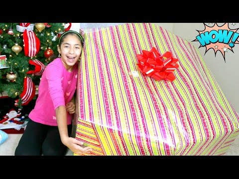 Opening a Giant Christmas Present What I got for Christmas B2cutecupcakes