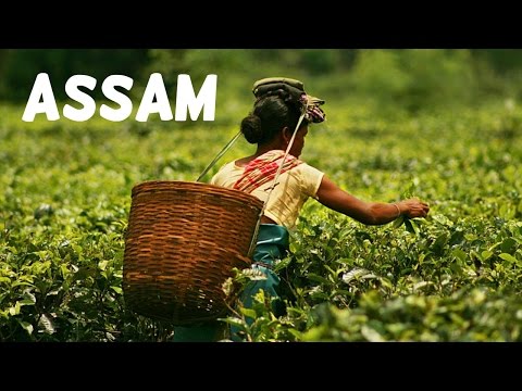 Assam India Documentary : Northeast India Travel Documentary