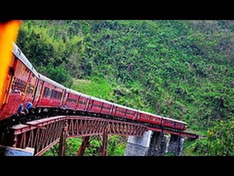 World's Most Dangerous Stretch of Railway - Interior Assam