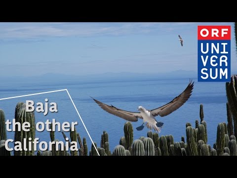 Baja The Other California - The Secrets of Nature