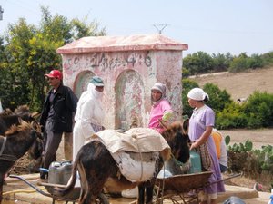 File - The Moroccan-American NGO High Atlas Foundation (HAF) is an organization focused on sustainable development through community-determined projects in agriculture, health and education.