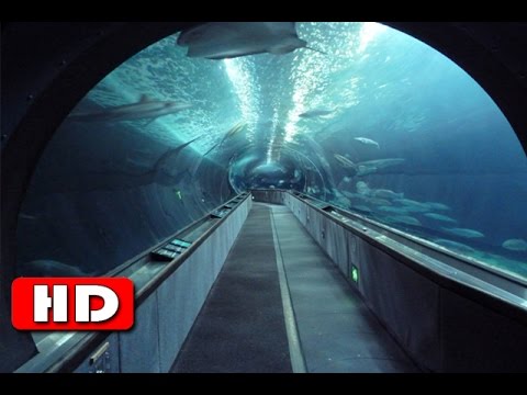 The Chunnel - World's Longest Underwater Tunnel - History Channel HD