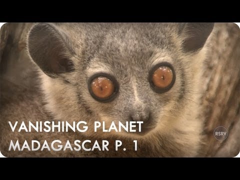 Madagascar -­‐ Biodiversity Hot Spot, Part 1 | Vanishing Planet | Reserve Channel