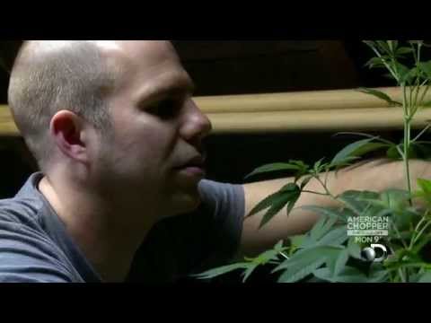 Weed Wars: Worlds Largest Medical Marijuana Dispensary [S01E01]