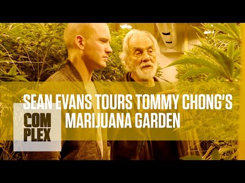 Tommy Chong's Medical Marijuana Garden