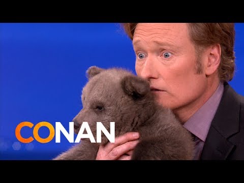 Animal Expert David Mizejewski: Brown Bear Cub & Baby Alligator - CONAN on TBS