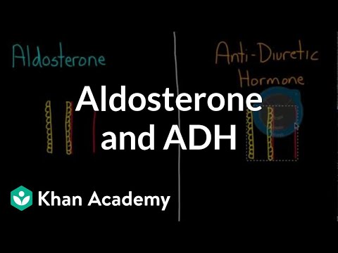 Aldosterone and ADH