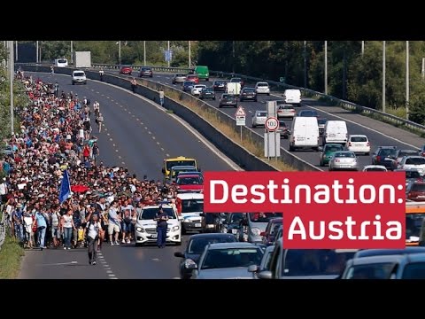 Refugee crisis: hundreds begin march to Austria