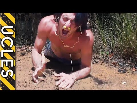 ANT ATTACK & ECHIDNA (GRAPHIC Content) with Andrew Ucles