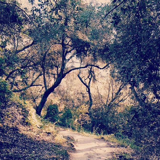 Hope you got to spend some time outside this weekend! If you attended A Day in Topanga, we sent you a follow up email. Tell us what you think and we&rsquo;ll enter you into a contest to win a free ticket to A Day in the Desert!

_

#adayin #adayintopanga #adayinthedesert #nature #music #food #organicfood #yoga #hiking #musicfestival #microfest #microfestival