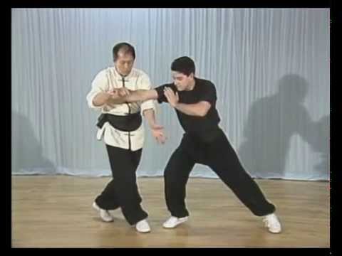 Martial Arts Techniques