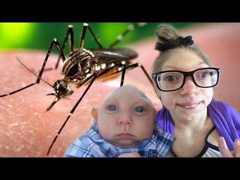 Top 10 Zika Virus Facts You Need To Know