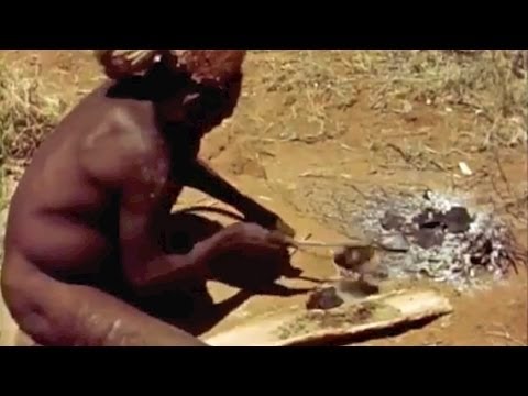 Australian Aboriginal use of Spinifex resin technology