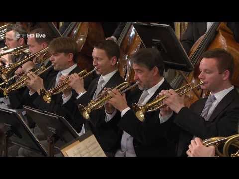 Wiener Philharmoniker - An der schönen blauen Donau, Op. 314