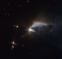 Surrounded by an envelope of dust, the subject of this NASA/ESA Hubble Space Telescope image is a young forming star known as HBC 1.