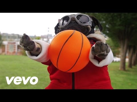 Fall Out Boy - Irresistible (Starring Doug The Pug) ft. Demi Lovato