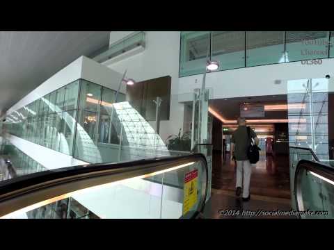 Astonishing Dubai Airport T3 | Delightful Emirates Business Class Lounge | A380-800 | EK29