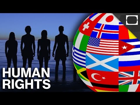 What Are Basic Human Rights?