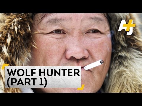 Wolf Hunting In Siberia: Saving The Reindeer (Part 1)