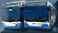 Sydney Buses