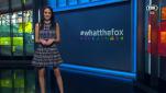 What The Fox? (26/02/16)