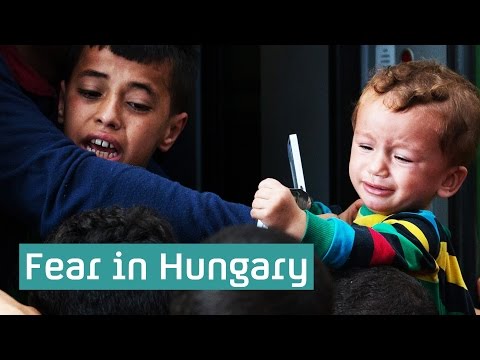 Hungary refugee crisis: a day of chaos