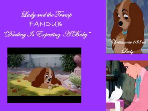 Lady and the Tramp FANDUB (Darling Off) Darling Expecting A Baby (Christimuse188 as Lady)