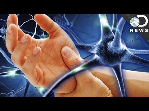 Why Can't We Reverse Nerve Damage?