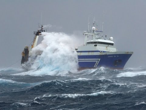 Fishing and processing on a freezing trawler.