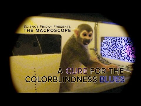 A Cure for The Colorblindness Blues