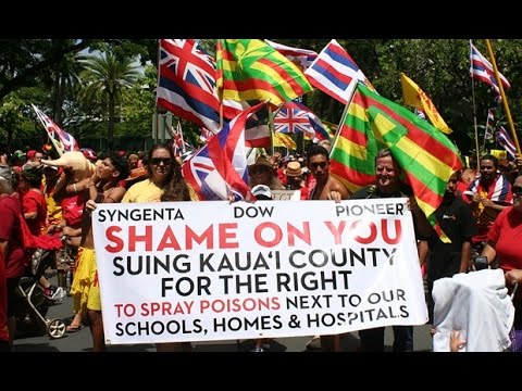 Paul Begley Today - Pesticides In Paradise Hawaii