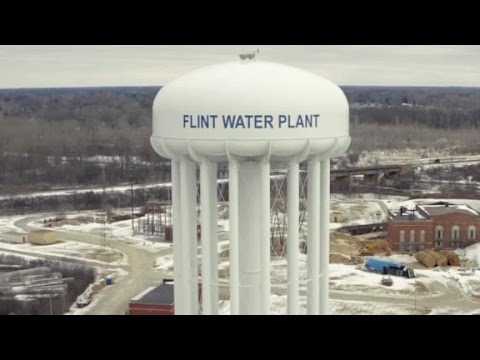 The effects of Flint's lead poisoning disaster