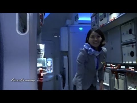 ANA 787 Dreamliner Economy Class Flight Experience Narita - Seattle