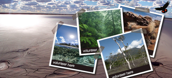 volunteer around Australia and overseas and help protect the planet