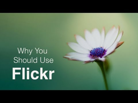 Why You Should Use Flickr!