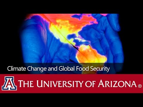 Climate Change and Global Food Security