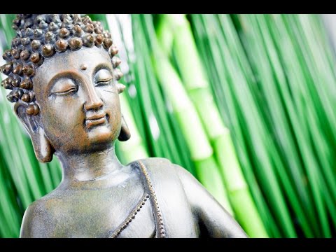 3 Hour Deep Healing Tibetan Meditation Music: Soothing Music, Relaxing Music, Calming Music ☯2341