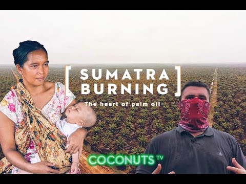 Sumatra Burning: The heart of palm oil (FINAL CUT)