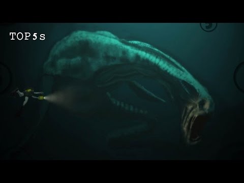 5 Most Mysterious Underwater Sounds Ever Recorded