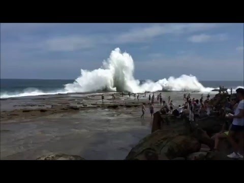 Monster wave wipes out swimmers in Sydney, Australia