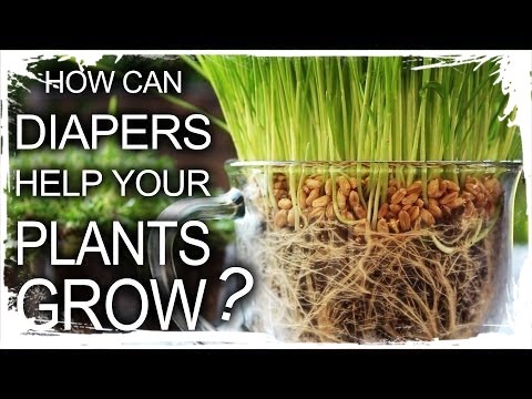 Diapers Help Your Plants Grow!