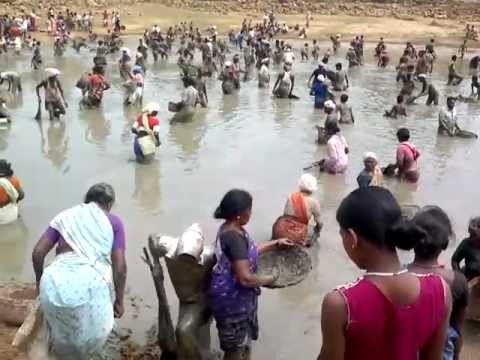 traditional fishing in india